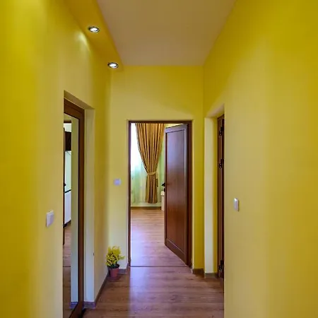 Dinaya دوبرينيشت